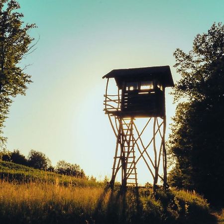 Etno Domacinstvo Milenkovic Villa เดสโปโตวัก ภายนอก รูปภาพ