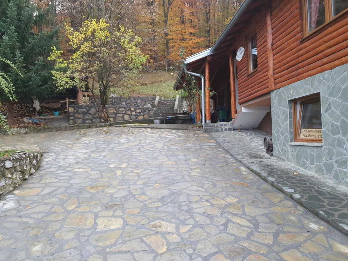 Etno Domacinstvo Milenkovic Villa เดสโปโตวัก ภายนอก รูปภาพ