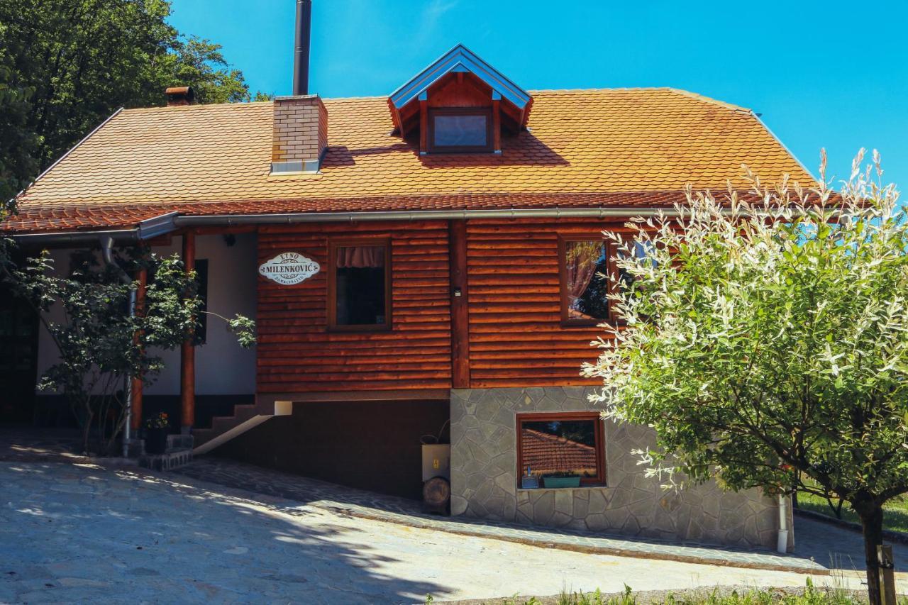 Etno Domacinstvo Milenkovic Villa เดสโปโตวัก ภายนอก รูปภาพ
