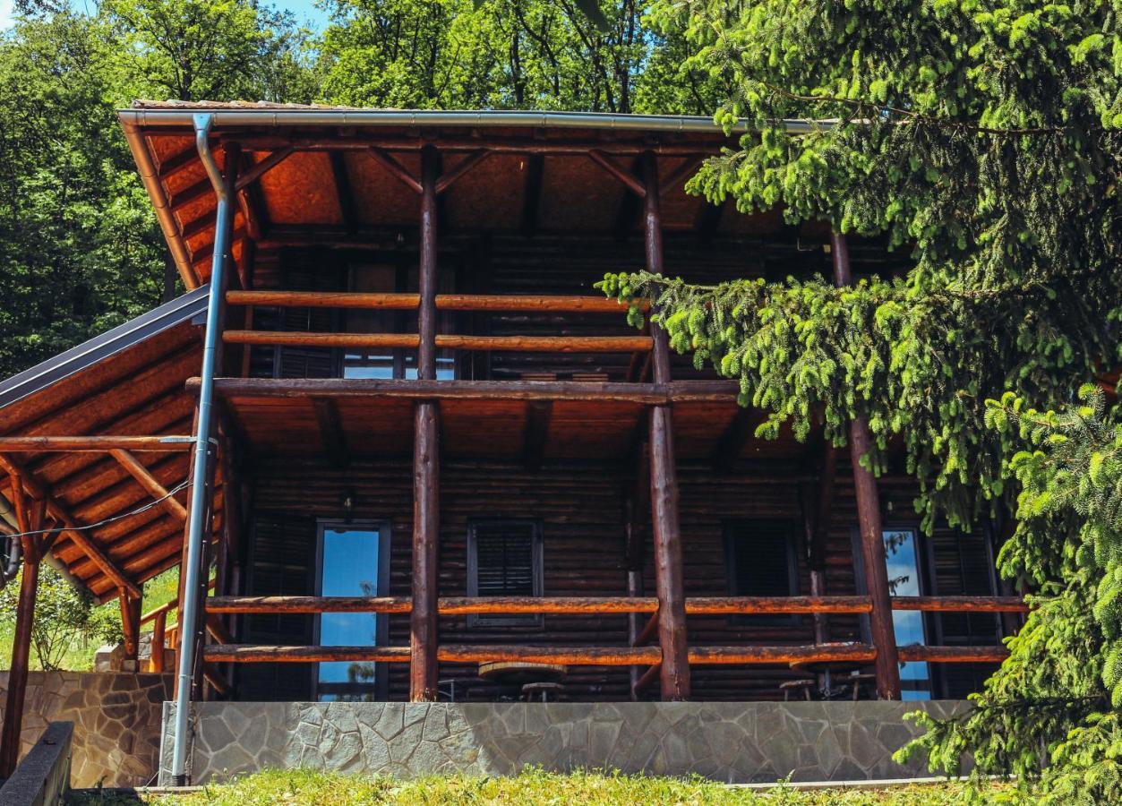 Etno Domacinstvo Milenkovic Villa เดสโปโตวัก ภายนอก รูปภาพ
