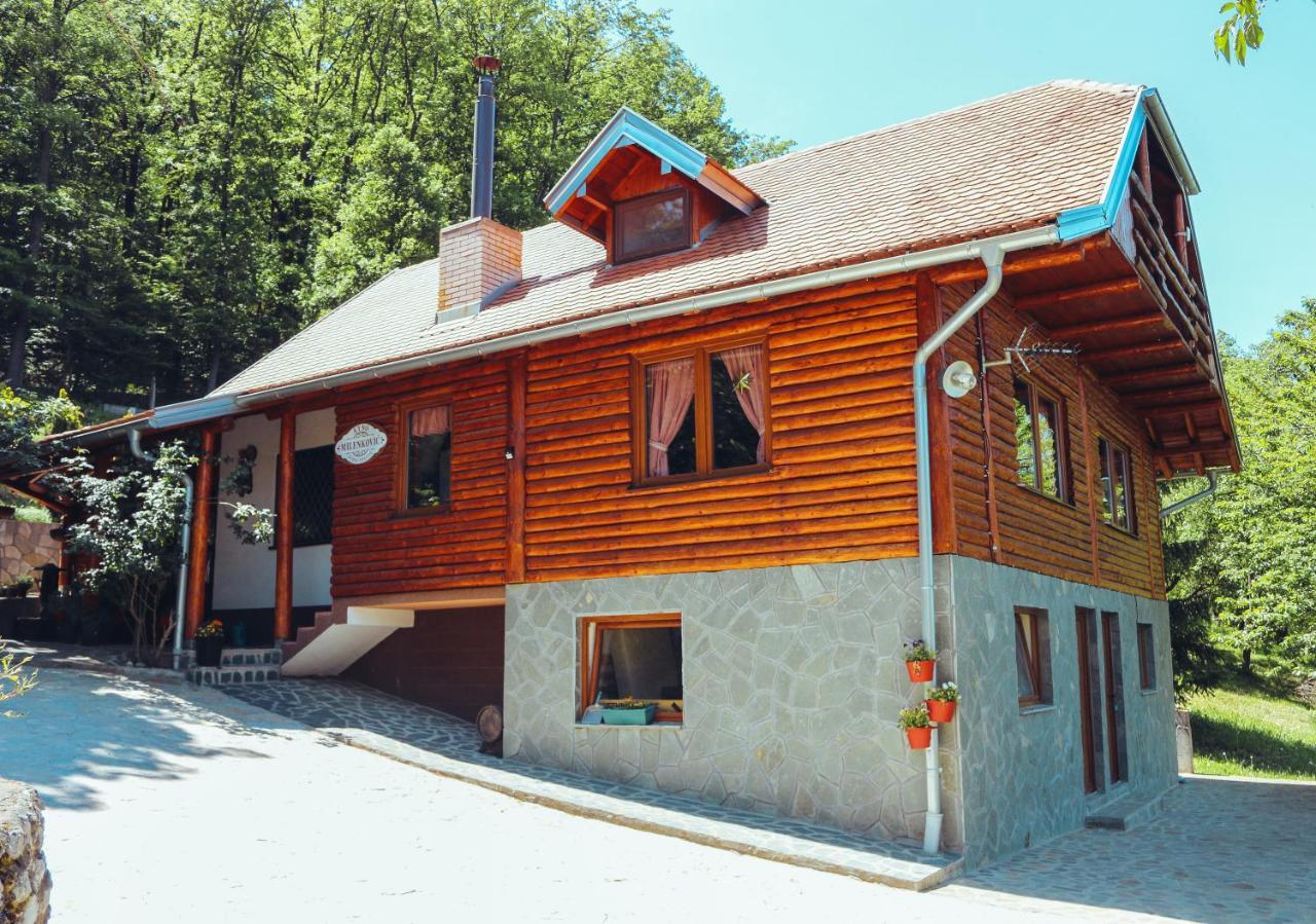 Etno Domacinstvo Milenkovic Villa เดสโปโตวัก ภายนอก รูปภาพ