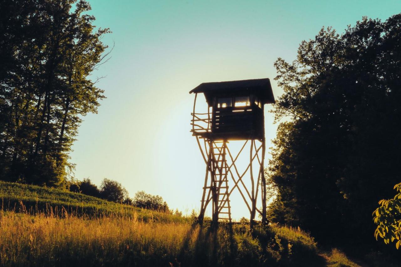 Etno Domacinstvo Milenkovic Villa เดสโปโตวัก ภายนอก รูปภาพ