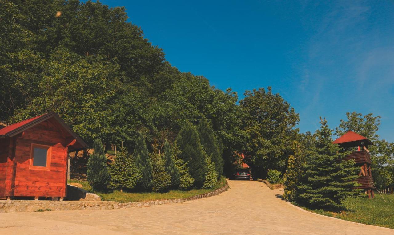 Etno Domacinstvo Milenkovic Villa เดสโปโตวัก ภายนอก รูปภาพ