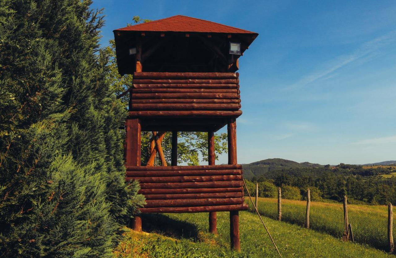 Etno Domacinstvo Milenkovic Villa เดสโปโตวัก ภายนอก รูปภาพ