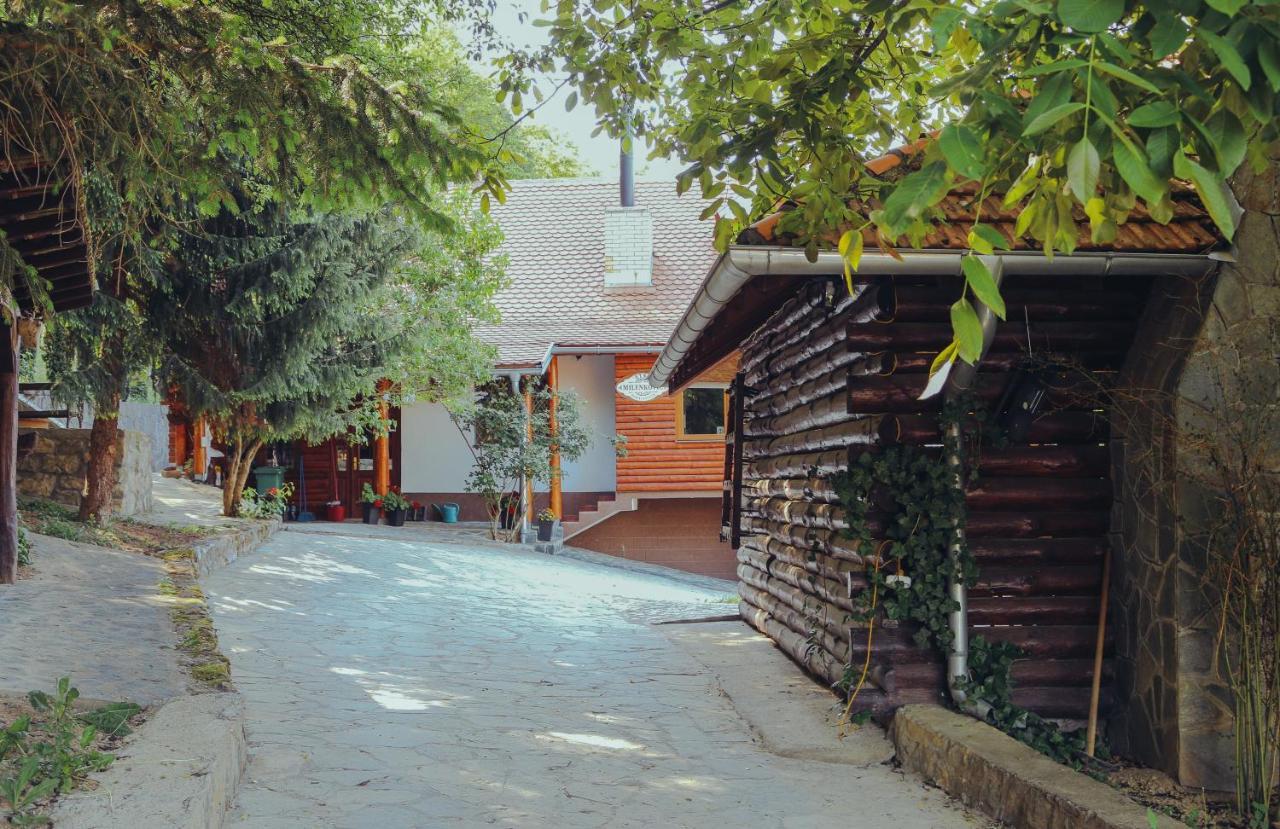 Etno Domacinstvo Milenkovic Villa เดสโปโตวัก ภายนอก รูปภาพ