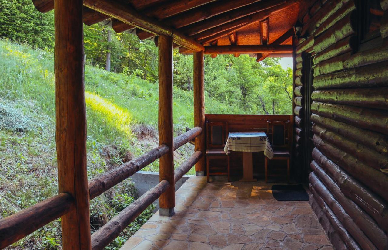 Etno Domacinstvo Milenkovic Villa เดสโปโตวัก ภายนอก รูปภาพ