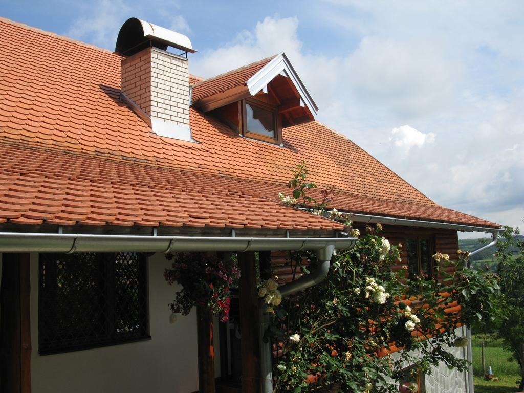 Etno Domacinstvo Milenkovic Villa เดสโปโตวัก ภายนอก รูปภาพ