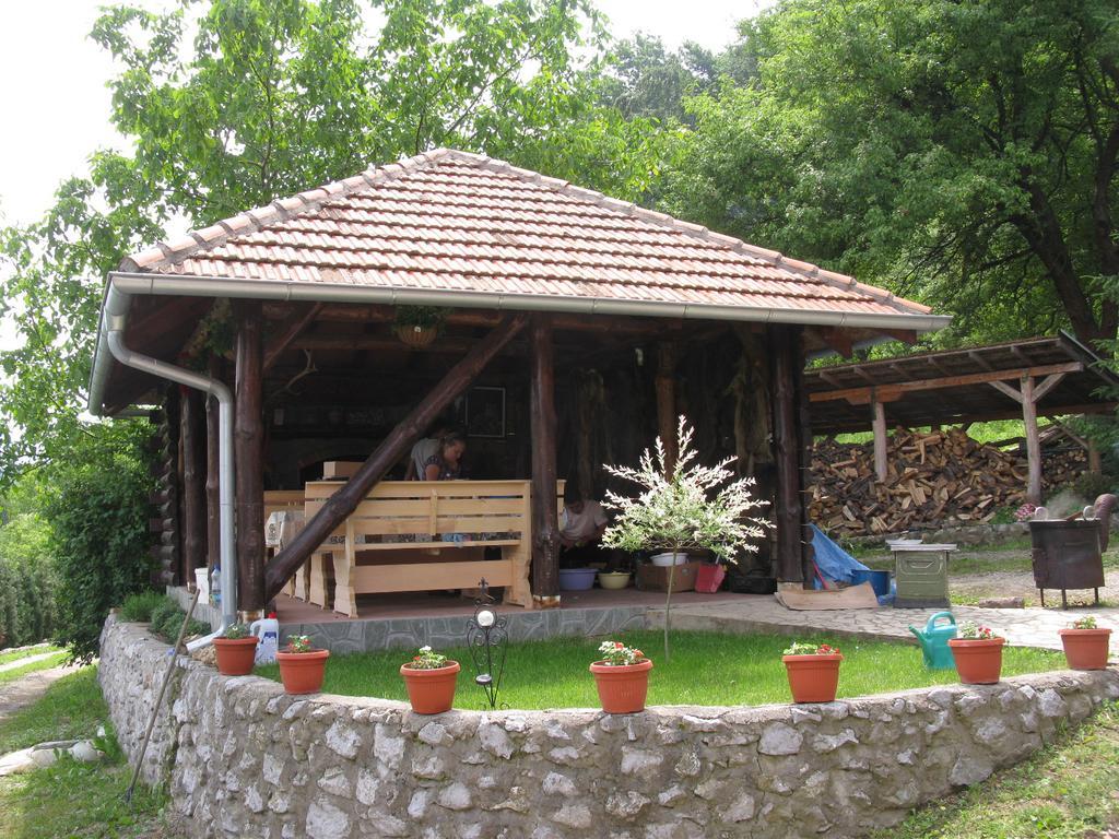 Etno Domacinstvo Milenkovic Villa เดสโปโตวัก ภายนอก รูปภาพ