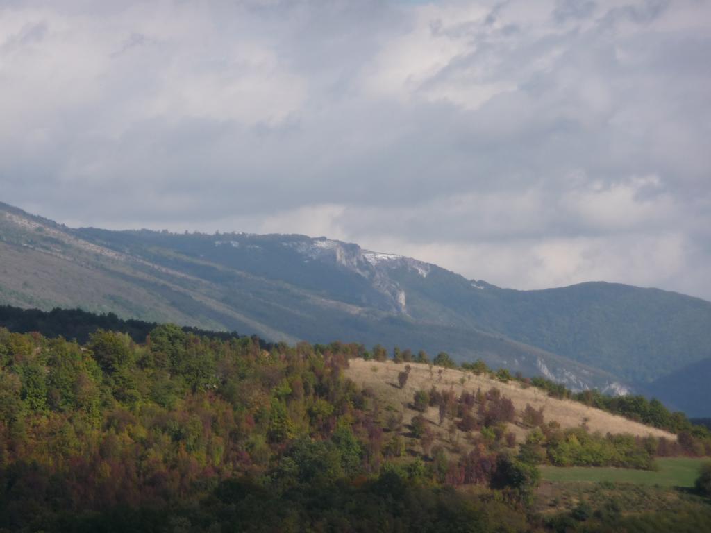 Etno Domacinstvo Milenkovic Villa เดสโปโตวัก ภายนอก รูปภาพ